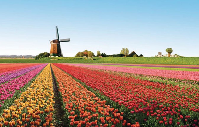 Holland med buss, 7 dagar 8-14/4